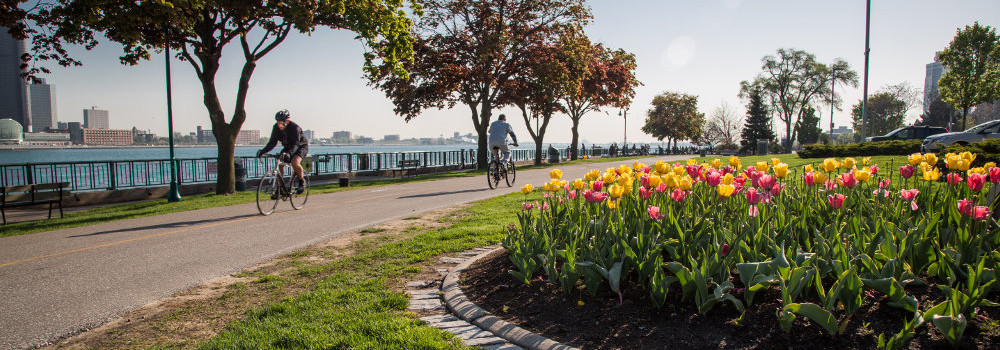Cyclists passing a tulip garden on the riverfront