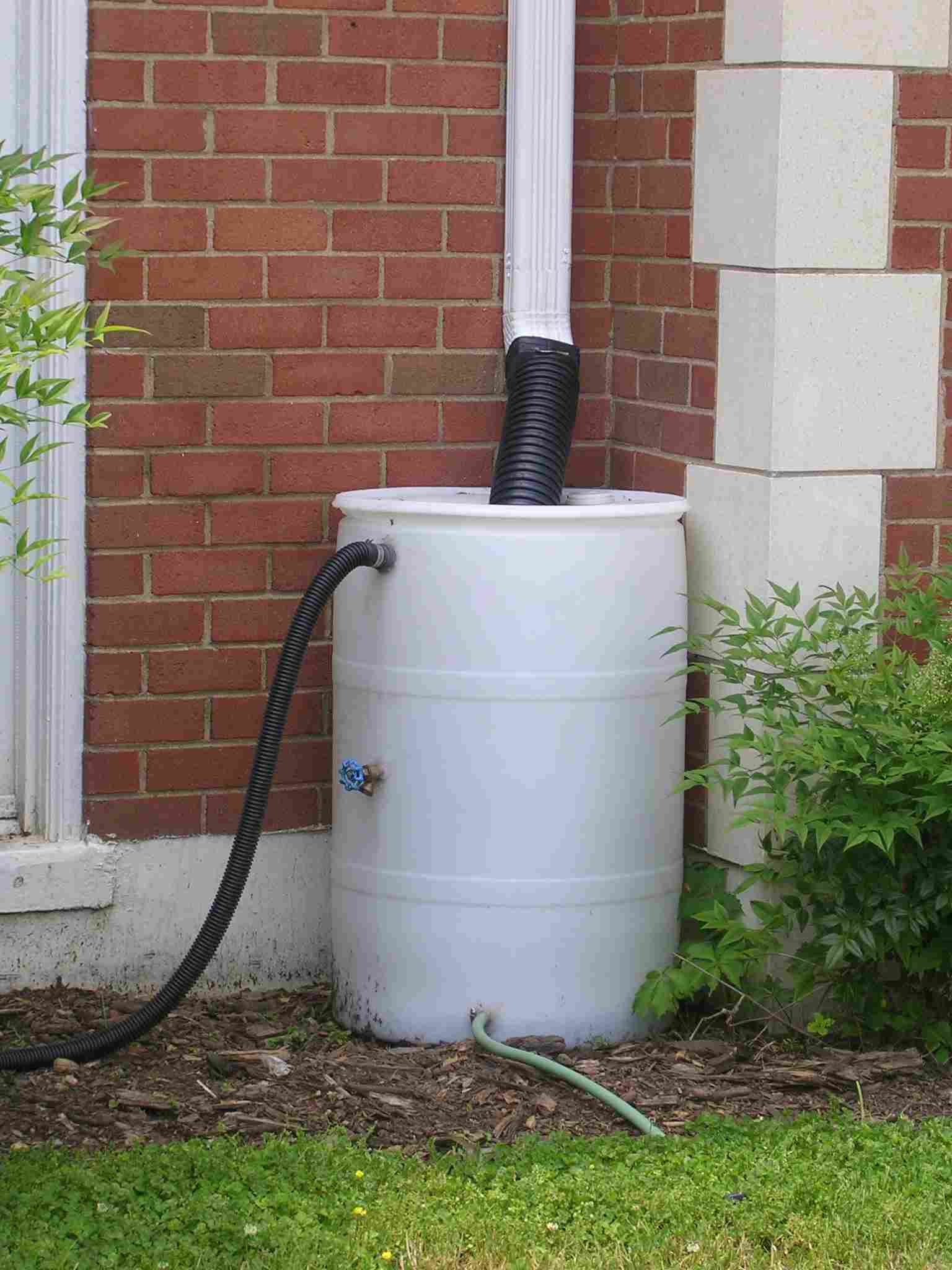 Downspout connected to rain barrel