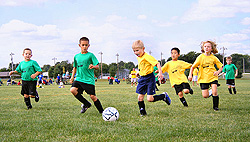 Children chasing a soccer ball