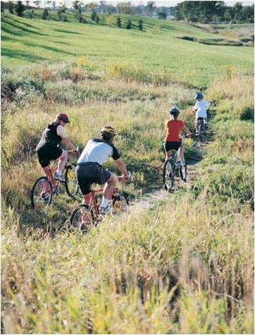 Cyclists on an off-road trail