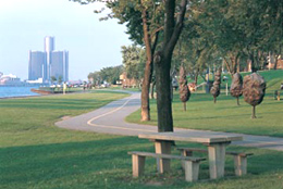 Waterfront path and picnic table