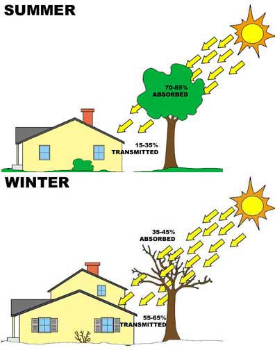 Diagram of seasonal energy savings