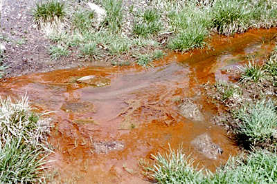 Polluted Streams
