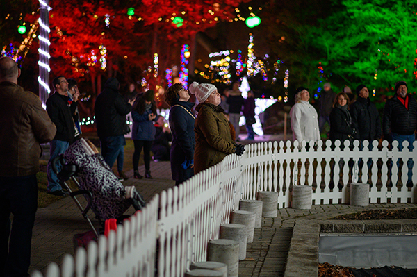 Visitors gaze up at the tree