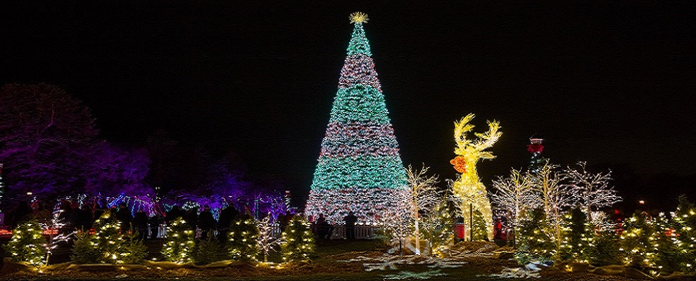 Light displays at Jackson Park 