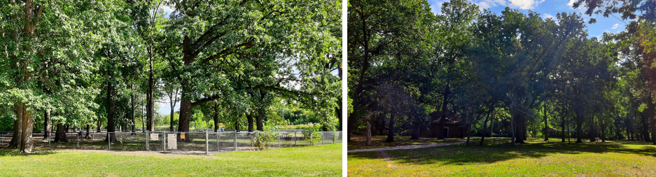 Collage of Optimist Memorial Park dog park and trail
