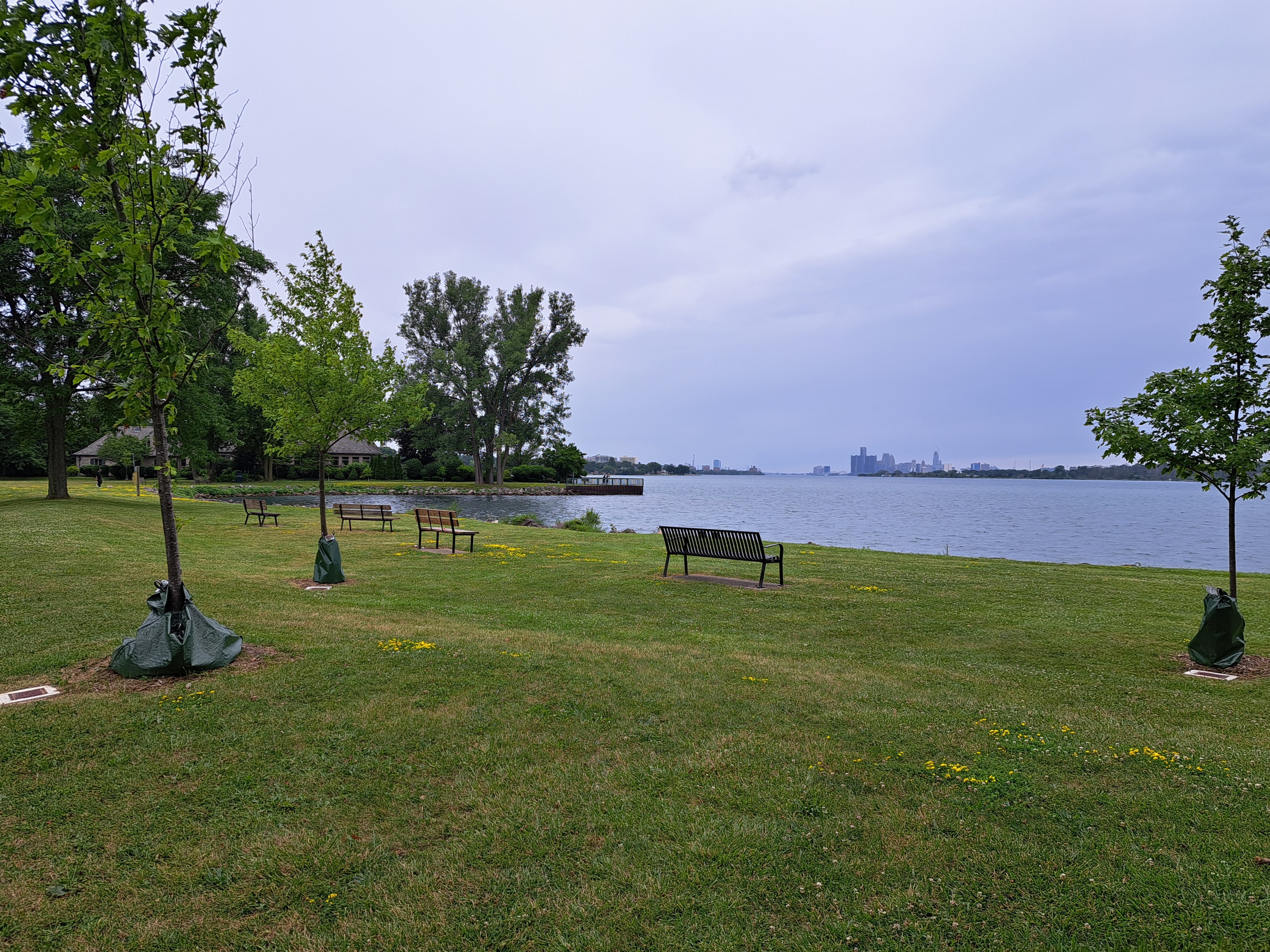 Trees and benches alongside Detroit River