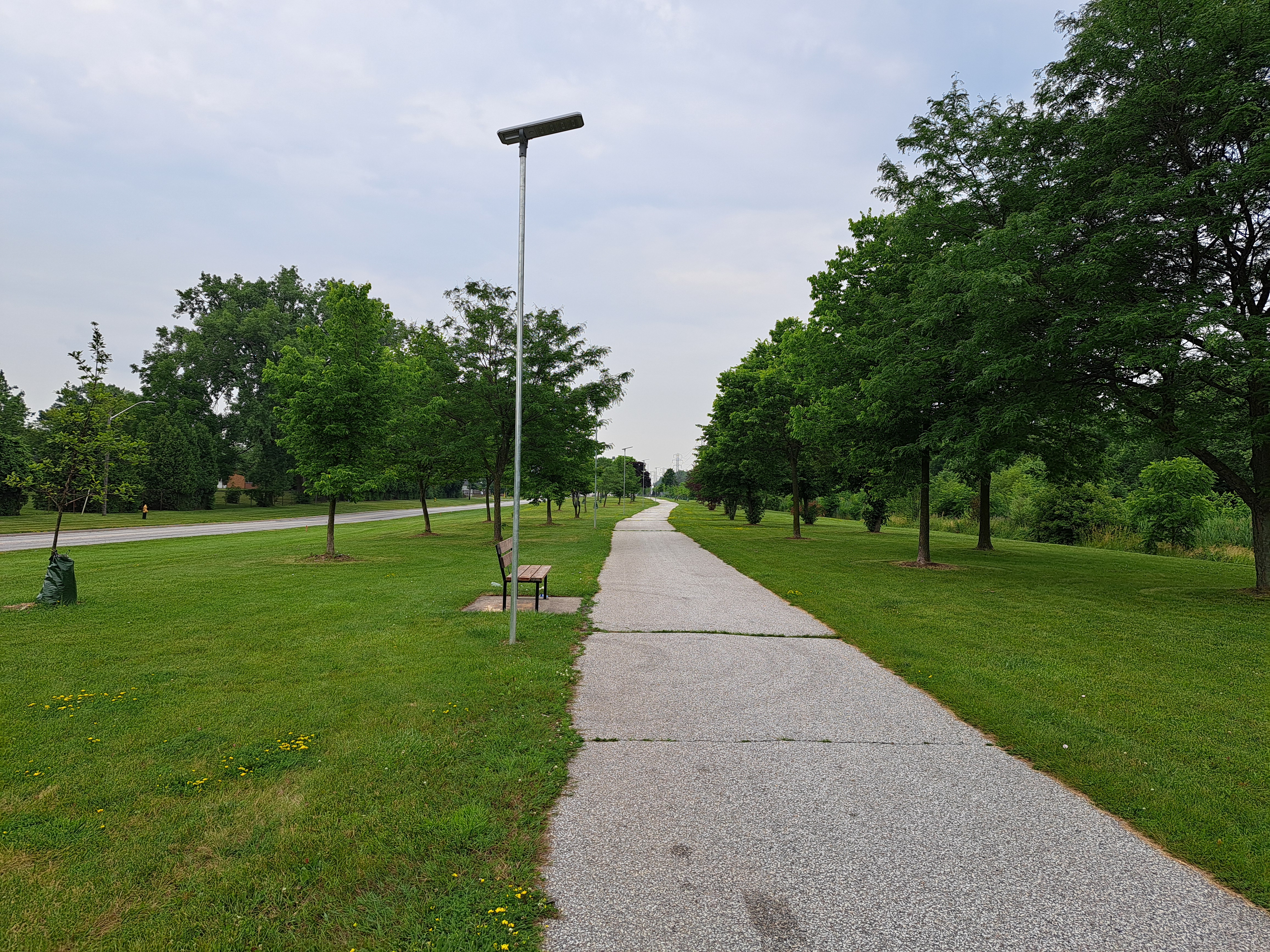 Paved path flanked by grass and trees