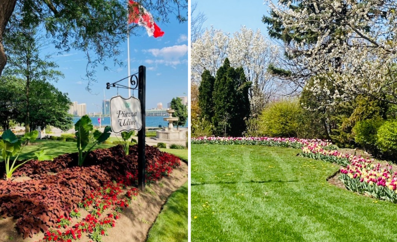 Tulip and annual display gardens with trees and Detroit River in background